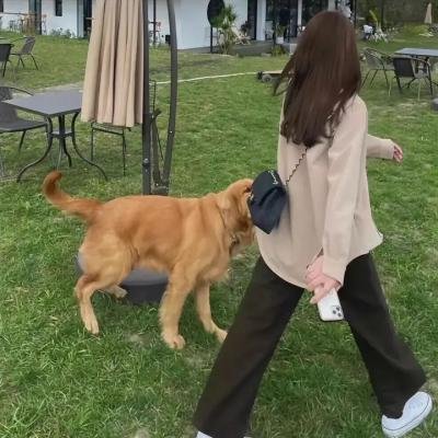 看不见的战争